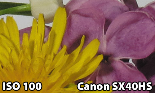 ISO 100 - Canon SX40HS
