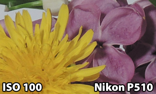 ISO 100 - Nikon P510