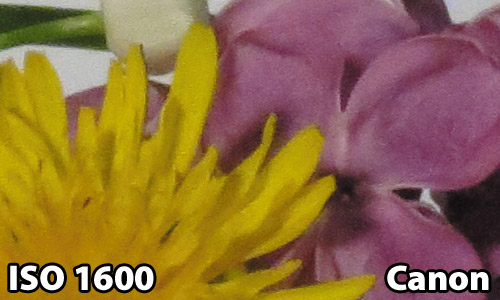 ISO 1600 - Canon SX40HS