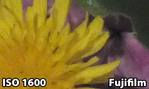 ISO 1600 - Fujifilm HS30EXR