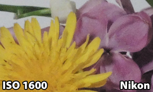 ISO 1600 - Nikon P510