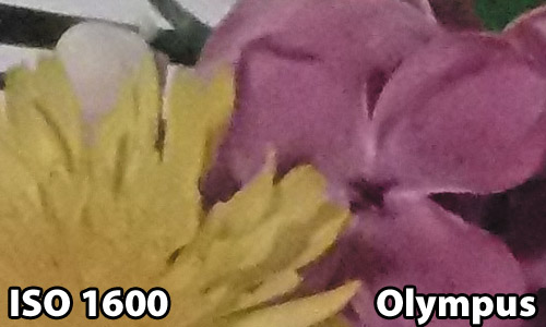 ISO 1600 - Olympus SP-720UZ