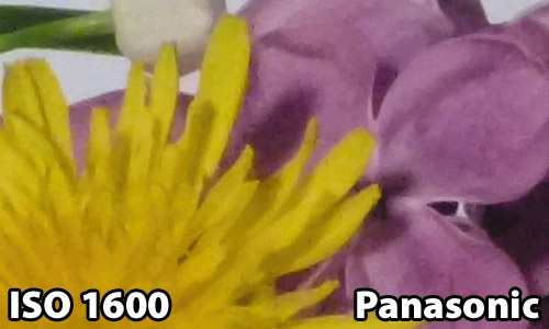 ISO 1600 - Panasonic FZ150