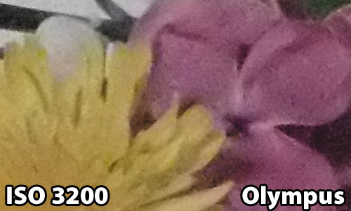 ISO 3200 - Olympus SP-720UZ
