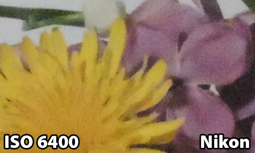 ISO 6400 - Nikon P510