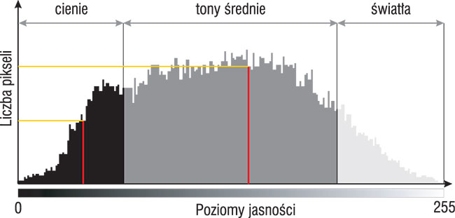 Kady histogram pokazuje rozkad punktów o rónej jasnoci – od zupenie czarnych z lewej strony, po zupenie biae, wypalone piksele na prawym kocu wykresu. Wysoko kadego z 256 supków oznacza liczb pikseli w danym odcieniu znajdujcych si na zdjciu (matrycy). Na wykresie w duym uproszczeniu przedstawiono od lewej strony: cienie, tony rednie i wiata.
