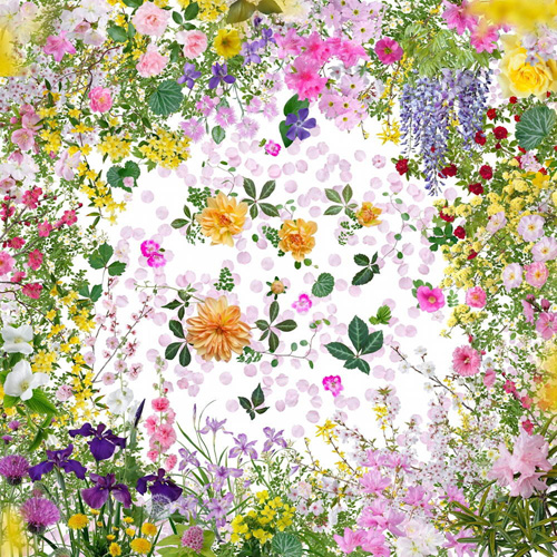 Katsuhiro Noguchi „Kwiaty Fukushimy”