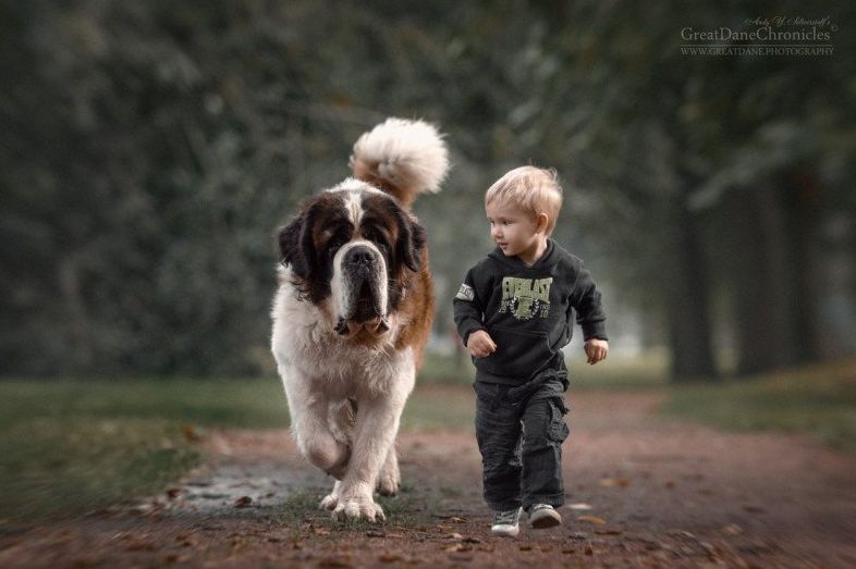 Pies i dziecko