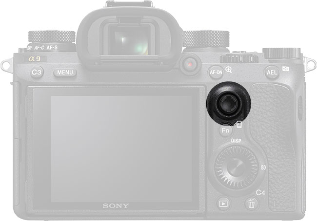 Sony A9 - nowy standard w fotografii sportowej i nie tylko - TEST z Foto-Kuriera 7/2017 [zdjcia do pobrania]