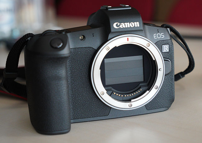 Canon EOS R - zdjęcia do pobrania z różną czułością ISO - TEST