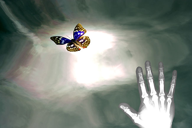 Bye bye butterfly – Dr Michele Angelillo (Wochy) - Brzowy Medal PhotoArtMedica
