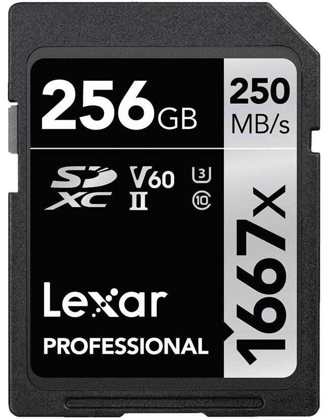 Lexar Pro 256 GB 250 MB/s