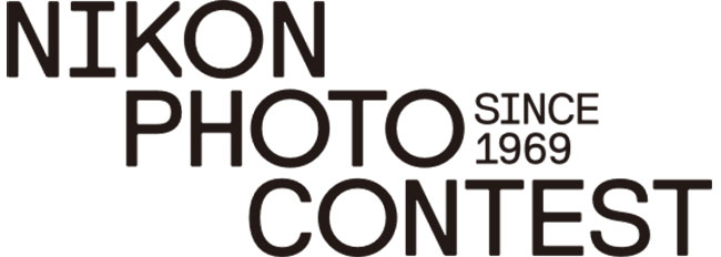 Nikon Photo Contest