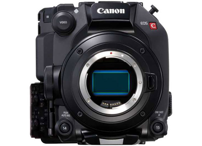 Polska premiera Canon EOS C500 Mark II podczas Canon Cinema Show 2019
