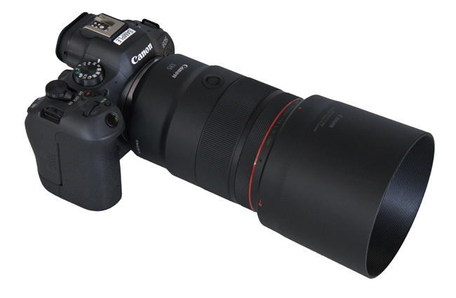 Canon RF 135 mm f/1,8L IS USM +R6 M II