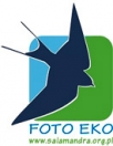 FOTO-EKO 2012