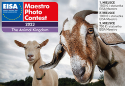 Wygraj 2500 euro w EISA MAESTRO 2023 - konkurs „Krlestwo zwierzt” tylko do 8 maja