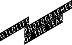 Wildlife Photographer of the Year – zobacz zdjcia finalistw