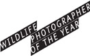 Konkurs Fotografii Dzikiej Przyrody „Wildlife Photographer of The Year 2013”