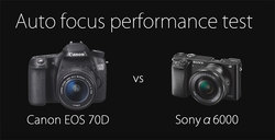 Canon EOS 70 D vs. Sony A600, skuteczne systemy AF