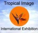 Tropical Image Exhibition (konkurs pod patronatem FIAP)