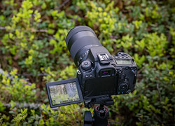 Canon EOS 90D wnaszej porwnywarce