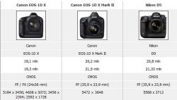 Canon EOS-1D X Mark II vs. Nikon D5