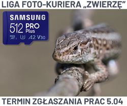 Samsung PRO Plus 512 GB jako jedna znagrd wIII etapie Ligi Foto-Kuriera