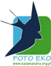 FOTO-EKO