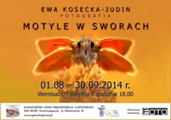 Ewa Kosecka - Judin „Motyle wSworach”