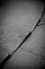 fotografia