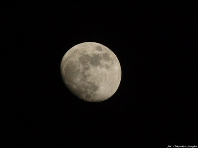 fotografia