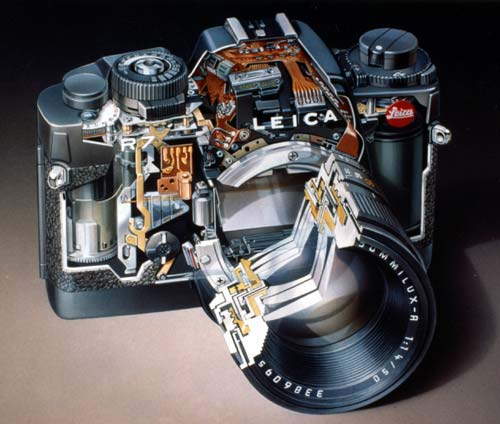 LEICA - Leica R7 シルバー ライカ Leica R7 シルバー : フラッグシップカメラ - 通販