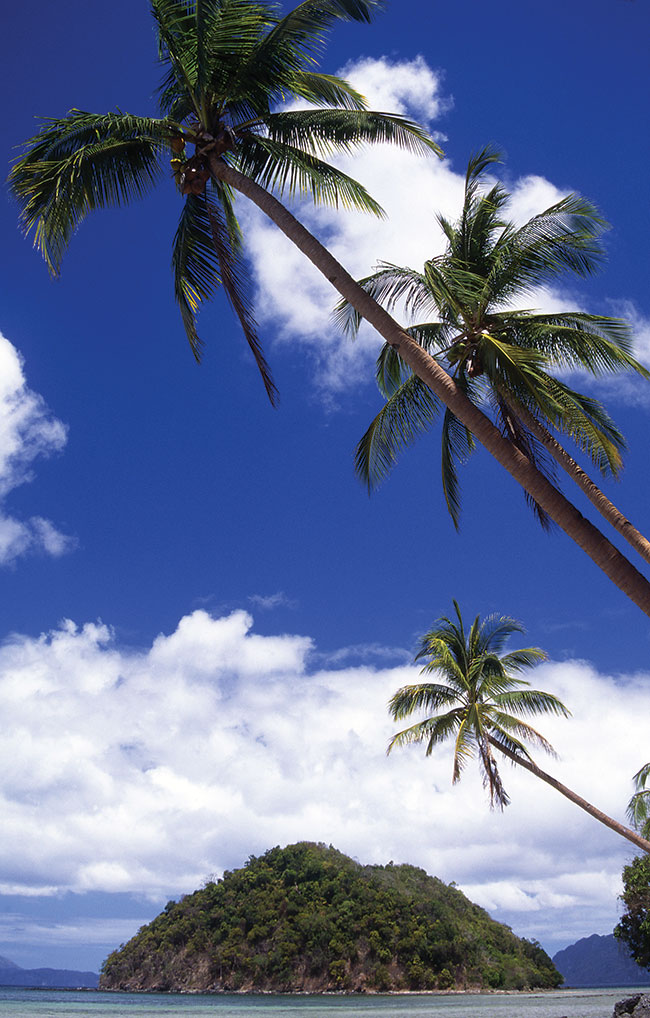 Palawan/El Nindo Plaża, palmy, wyspy… Tak wygląda panorama ółnocy wyspy Palawan.