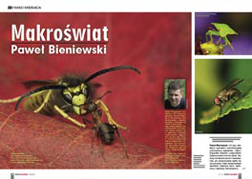 Makrowiat Pawe Bieniewski