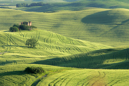 Pejza toskaski. Jedno z serii zdj do wystroju wntrz biur SKOK w odzi. Klient: SKOK. Canon EOS-1D Mark II, Canon EF 70-200 mm f/2,8L IS USM + Canon EF Extender 1,4x.