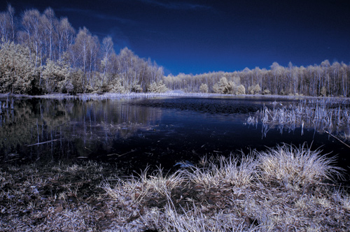 AF-S Nikkor 16-35 mm f/4G ED VR nadaje si znakomicie do zdj w podczerwieni, poniewa nie ma tak zwanego „hotspot” (wyjanienie w tekcie)