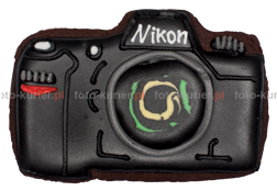 PierNIKon A.D. 2010