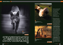 Konkurs Miesica „Zwierz”