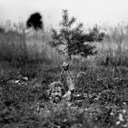 Portret Podlasia