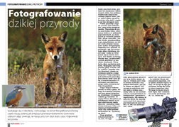 Fotografowanie dzikiej przyrody