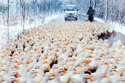 „Orange Season” w Galerii Zamknitej 