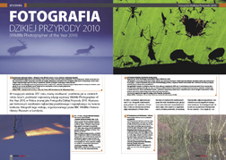 FOTOGRAFIA DZIKIEJ PRZYRODY 2010 (Wildlife Photographer of the Year 2010)