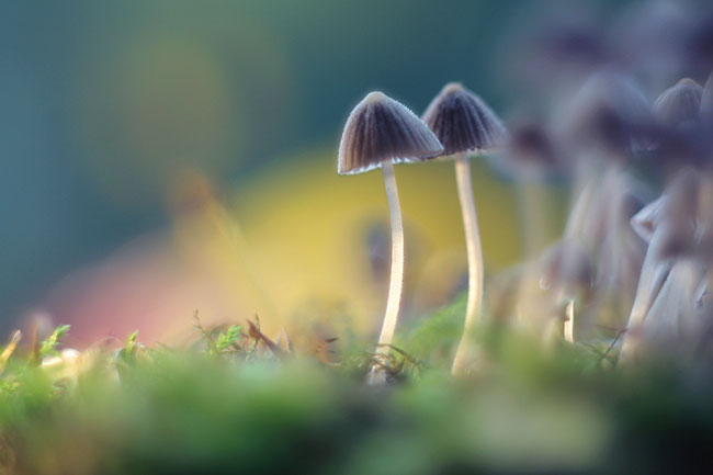 fot. Katarzyna Grzywarczyk