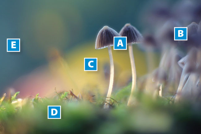 fot. Katarzyna Grzywarczyk