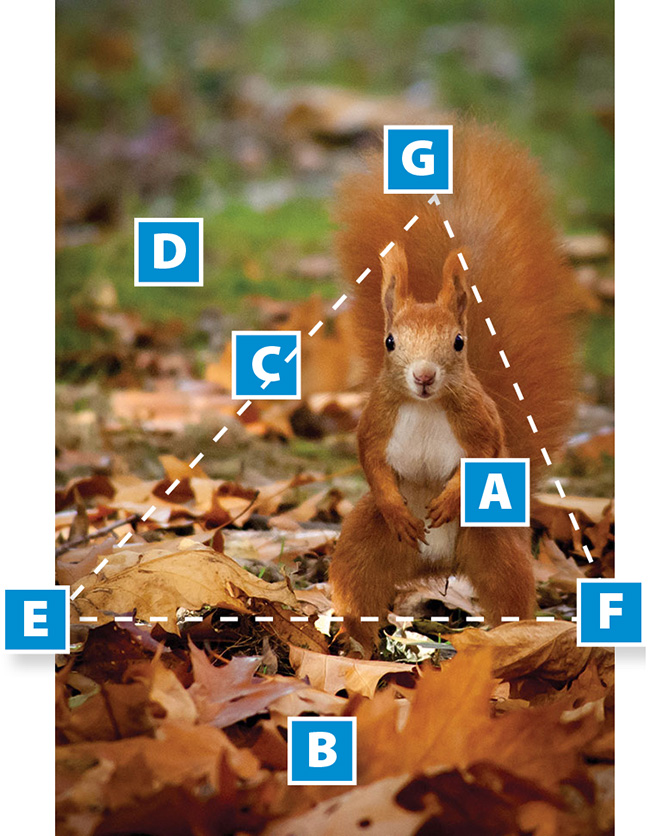 „Rudzielec 1” – ukasz Chudorliski