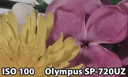 ISO 100 - Olympus SP-720UZ