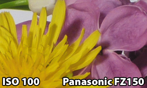 ISO 100 - Panasonic FZ150