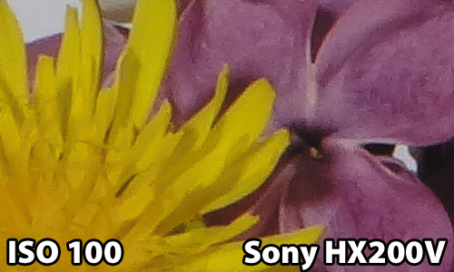 ISO 100 - Sony HX200V