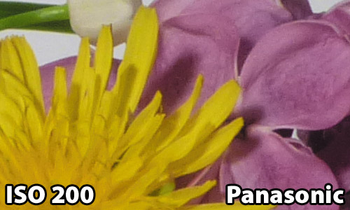 ISO 200 - Panasonic FZ150